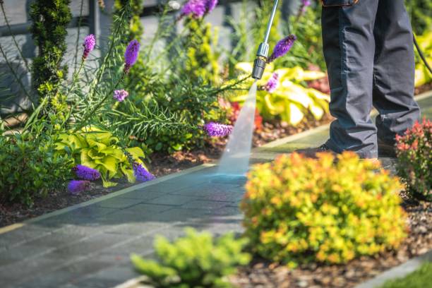 Best Dumpster Area Cleaning  in Broad Brook, CT